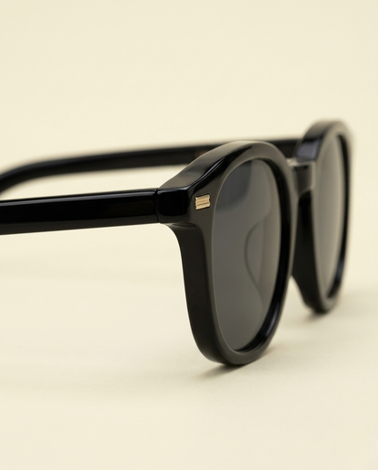 Sunglasses Classic Frame Signature