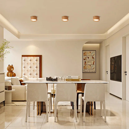 Minimalist Flush-Mount Downlight for Modern Interiors